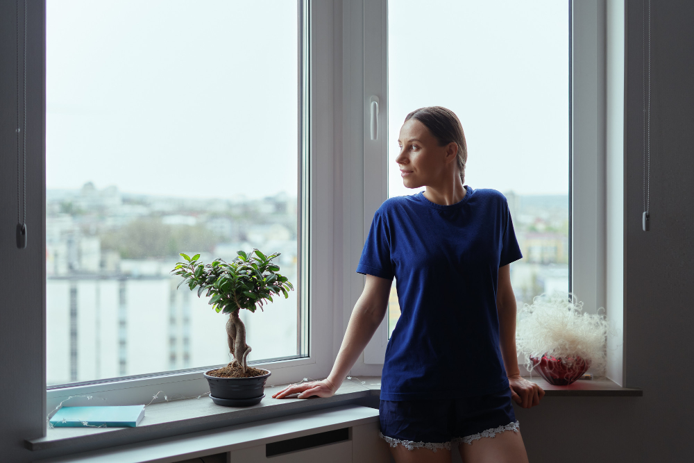 Las Cruces Bay & Bow Windows